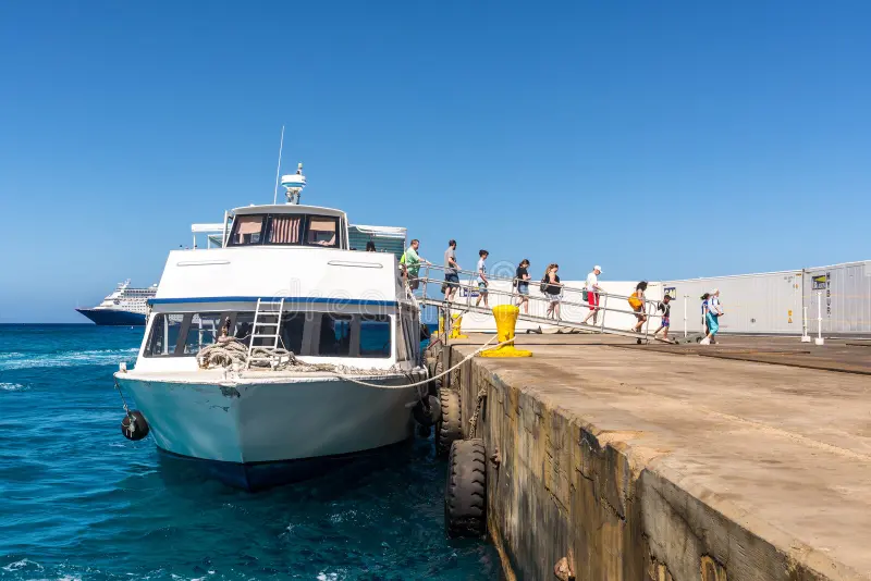 Exclusive Cruise Ship Transfers For Luxury Voyages